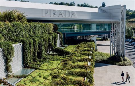 prada child labor|PRADA GROUP SUSTAINABILITY POLICY.